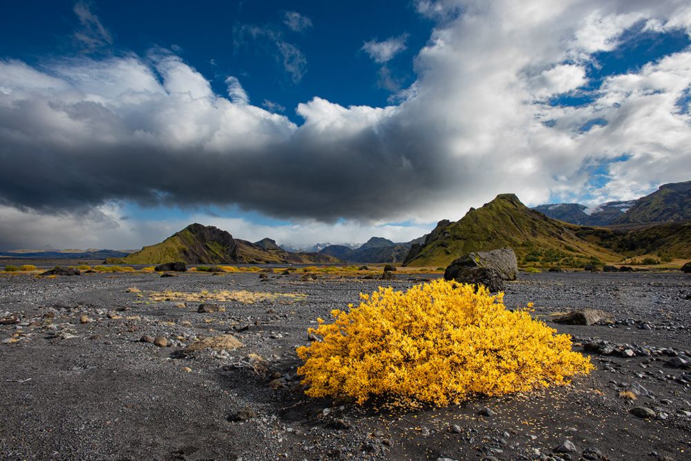 Beautiful Valley of Thor reaches into the highlands of Iceland. Fall color livens the landscape.